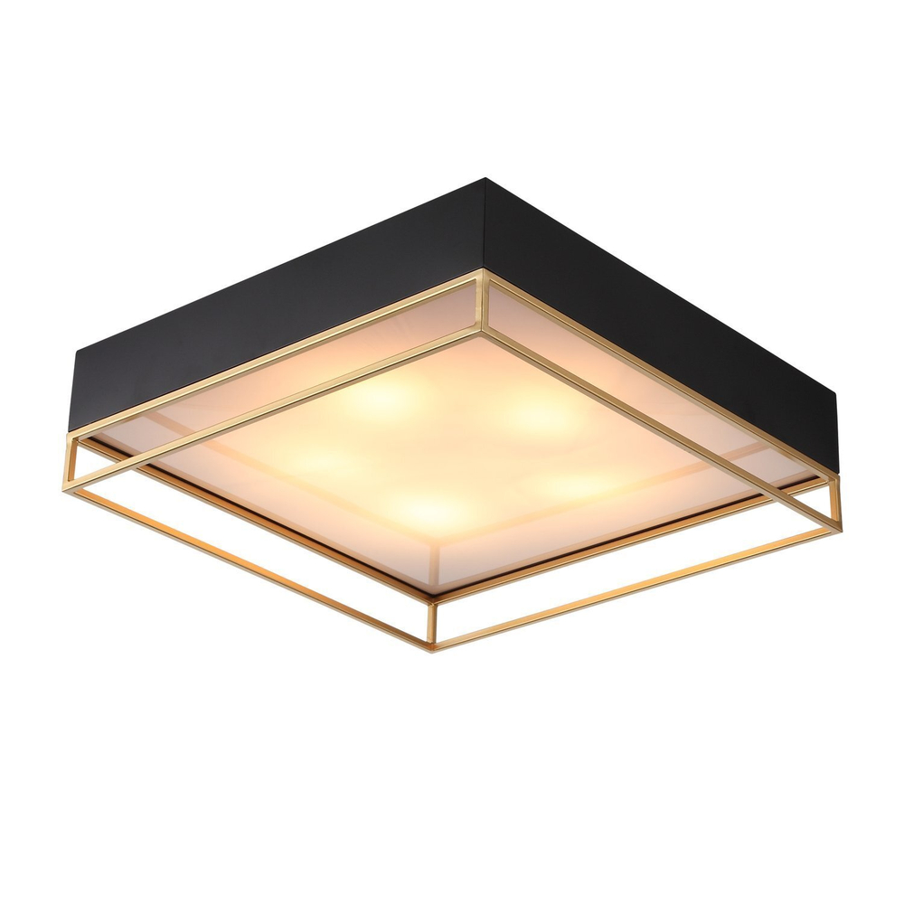 Светильник потолочный ST Luce Chodo SL1127.422.05