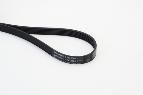 CONTINENTAL CTAM - 6PK2000-COT - V-Ribbed Belt