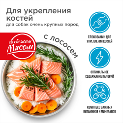 Корм сухой для взрослых собак очень крупных пород, премиум полнорационный комплекс, для укрепления костей у собак, с лососем, 12 кг, QUATTRO