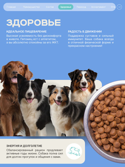 Корм для взрослых собак породы Английский кокер-спаниель, с кроликом, 3 кг, QUATTRO