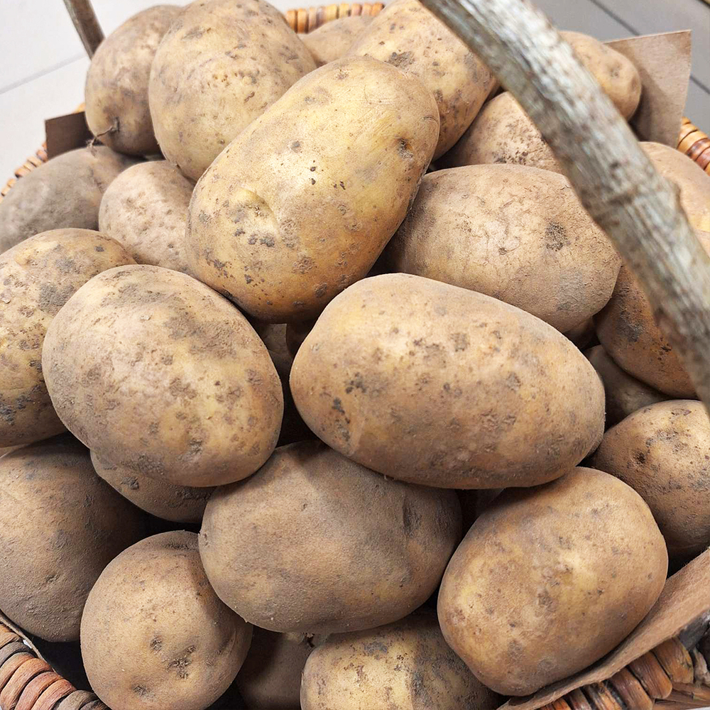 Картофель