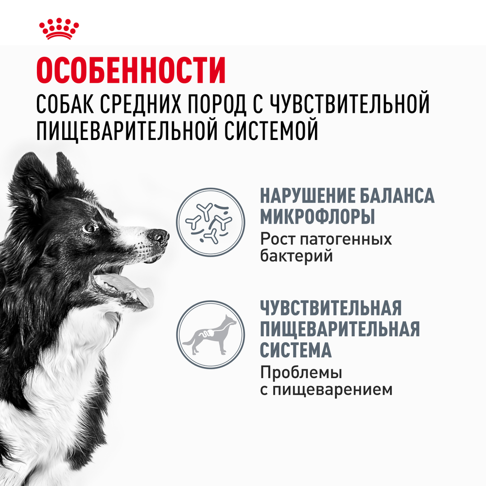 Royal Canin Medium Digestive Care Медиум Дайджестив кэа Корм сухой для взрослых собак средних размеров с чувствительным пищеварением 3кг