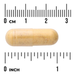 Swanson Vitamins, Super Stress B-Complex с витамином C, 240 капсул