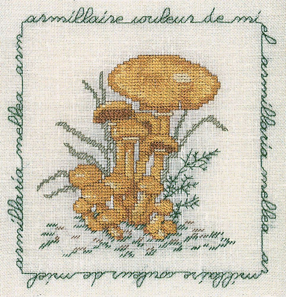 Набор для вышивания нитками Le Bonheur des Dames, Armillaire Couleur De Miel (Опенок), 16х17 см Набор для вышивания нитками Le Bonheur des Dames, Armillaire Couleur De Miel (Опенок), 16х17 см