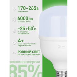 Лампа светодиодная ЭРА GREEN LINE LED POWER T100-60W-865-E27/E40 GL 60Вт колокол холодный свет Е27/Е40 | Лампы cветодиодные POWER