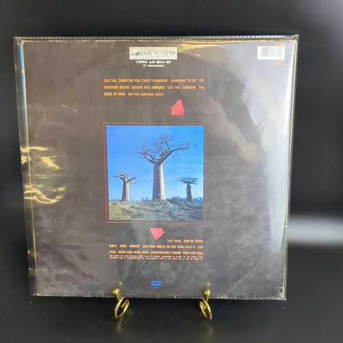 2 LP Pink Floyd - Delicate Sound Of Thunder , Repress, USSR, 1988 зарубежный рок. 2 Виниловые пластинки