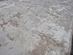 Vera 38894A D.BEIGE \ BEIGE Прямой