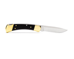 Нож BUCK 110 Folding Hunter® Knife - Drop Point