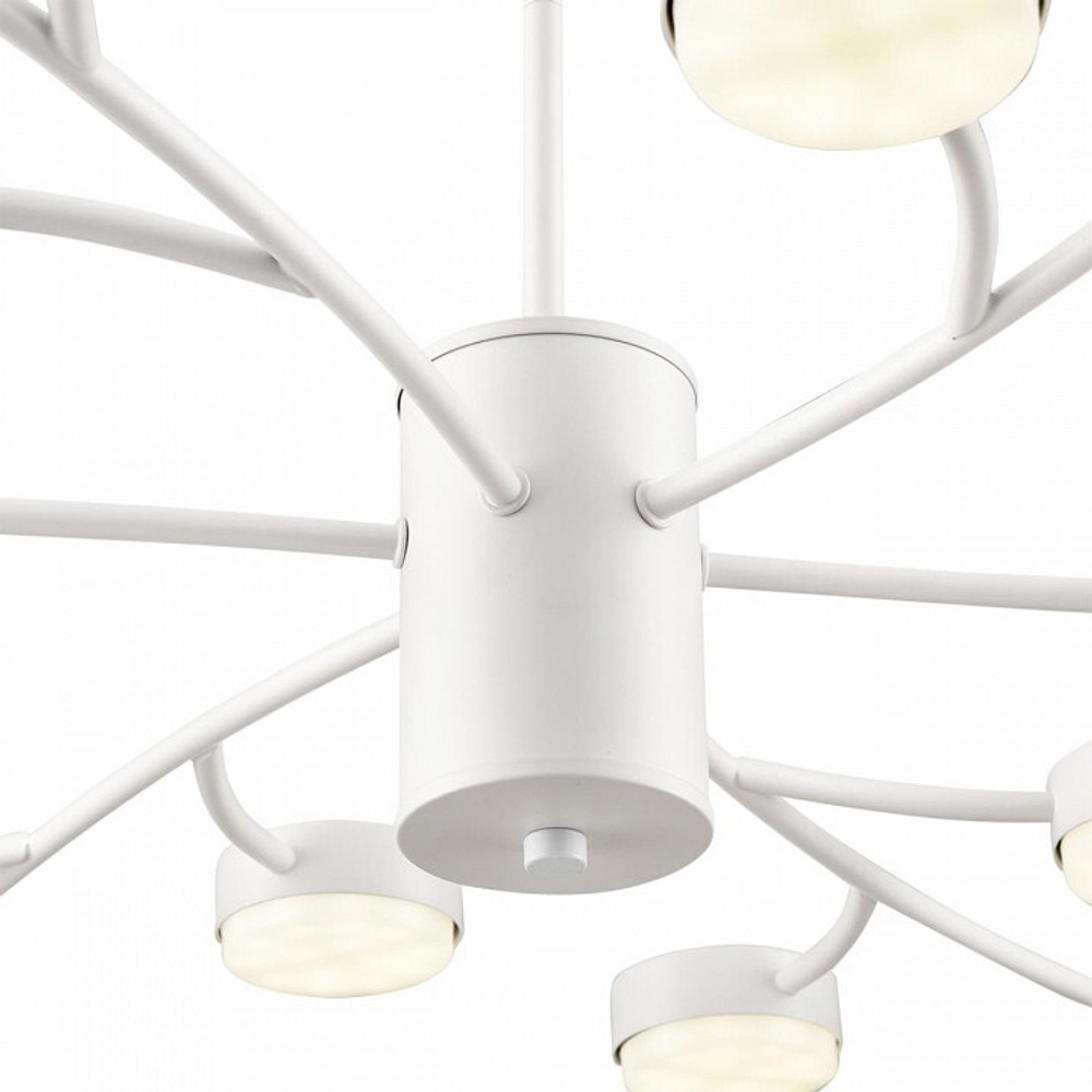 Люстра на штанге Lumion TORINA 8265/18