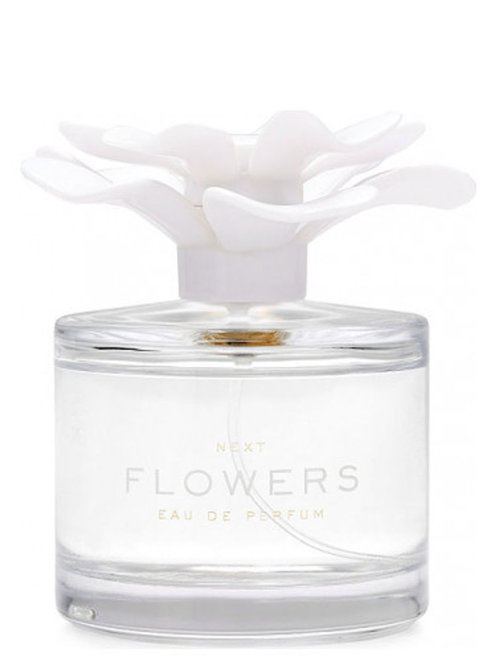 Next Flowers