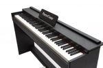 Pierre Cesar DP-12-H