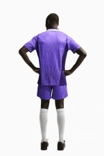 Шорты Nike Tottenham Hotspur 26/27 Third Stadium - фиолетовый