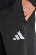 Штаны adidas Entrada 26 Presentation - черный