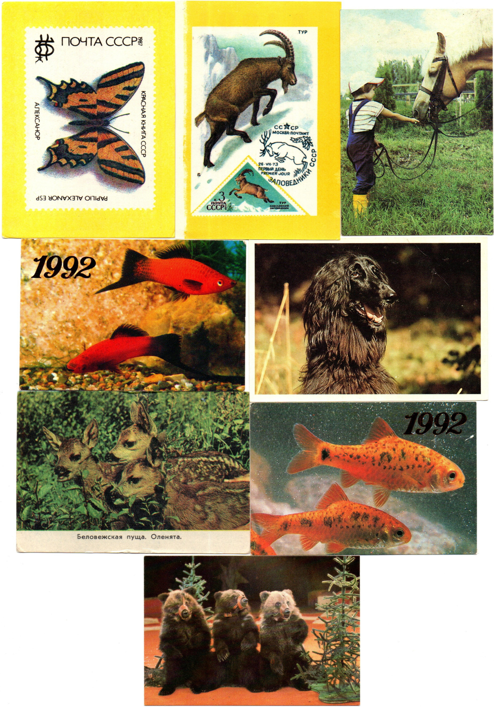 № 24 Набор Календариков 25 шт. Фауна, животные, птицы и рыбы 1977-1992 гг.