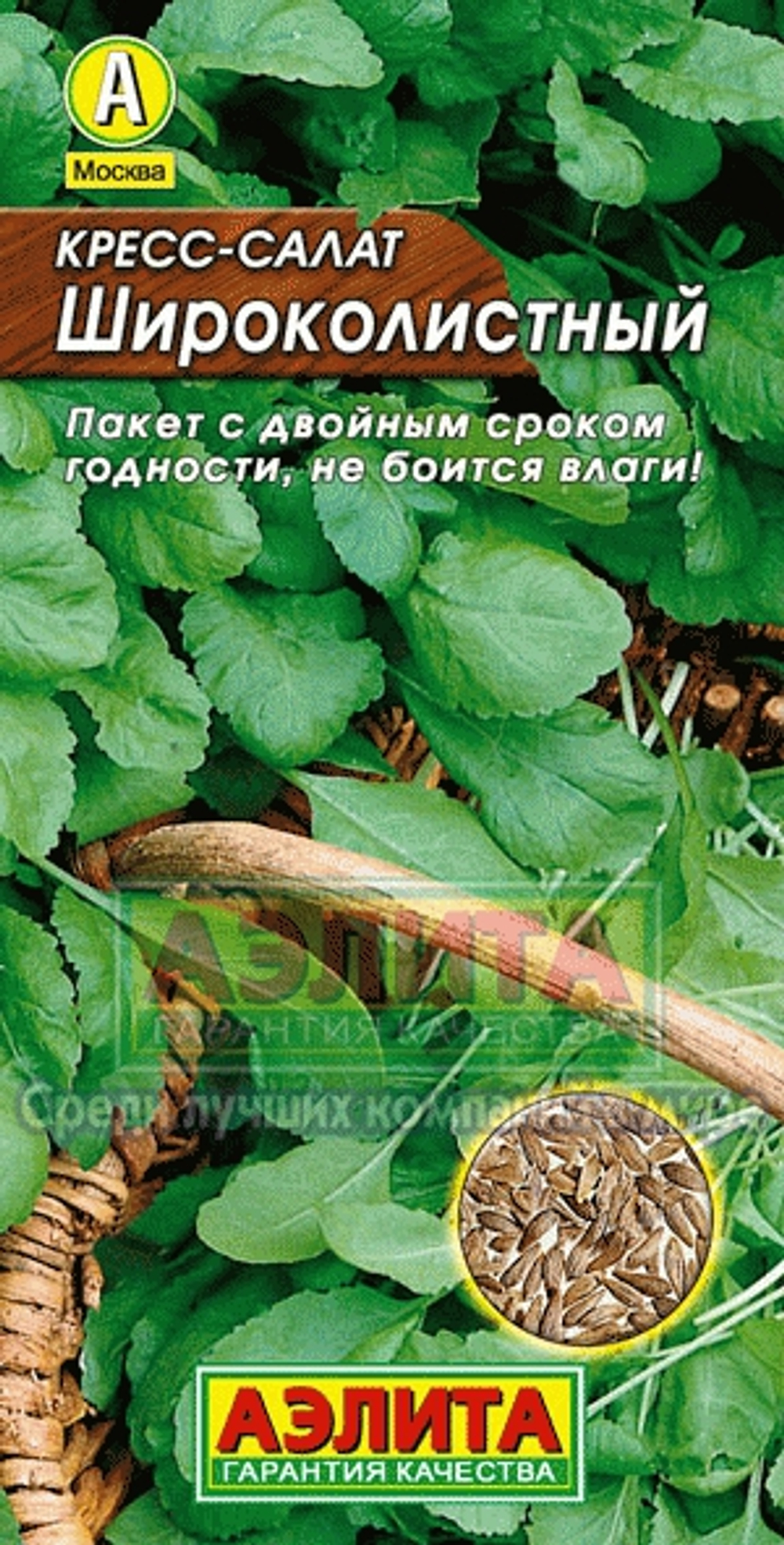 иим