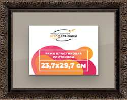 Рамка 23,7x29,7 для постера и фотографий