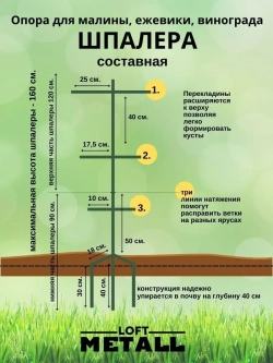 Шпалера для малины и винограда