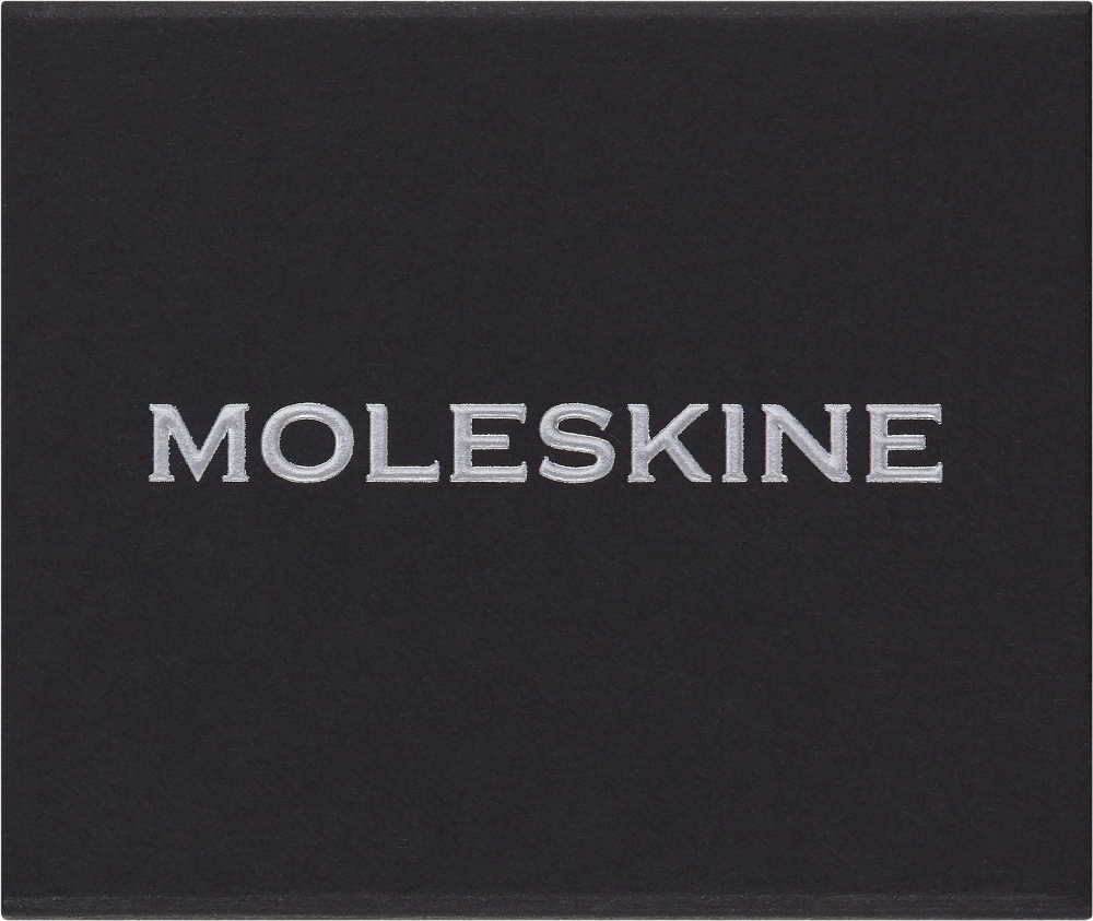 Шильд-символ Moleskine Zodiac металл серебристый коробка с европод. Овен (PINARIESSILV)