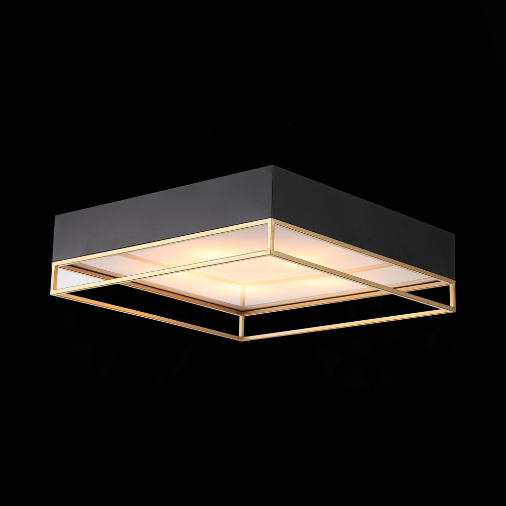 Светильник потолочный ST Luce Chodo SL1127.422.05