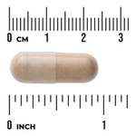 Swanson Vitamins, Full Spectrum® плоды якорцев, 500 мг, 90 капсул