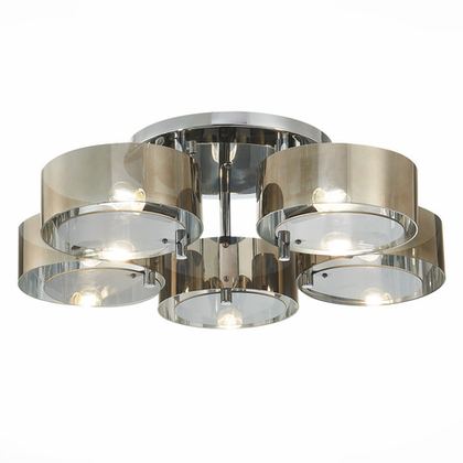 Светильник потолочный Evoluce Foresta SL483.702.05