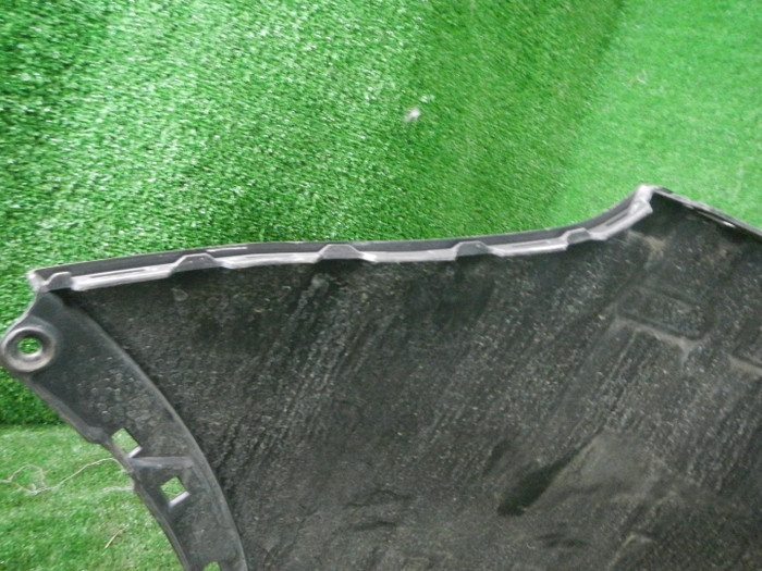 DSCN4239.JPG