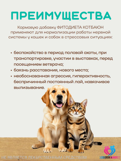Котбаюн кормовая добавка для нормализации работы нервной системы у собак и кошек при стрессовых ситуациях VEDA, 50 таблеток
