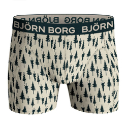 Мужские спортивные боксеры Björn Borg Core Boxer 2P - разноцветный