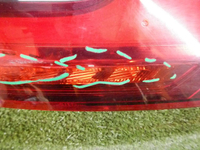 DSCN4420.jpg