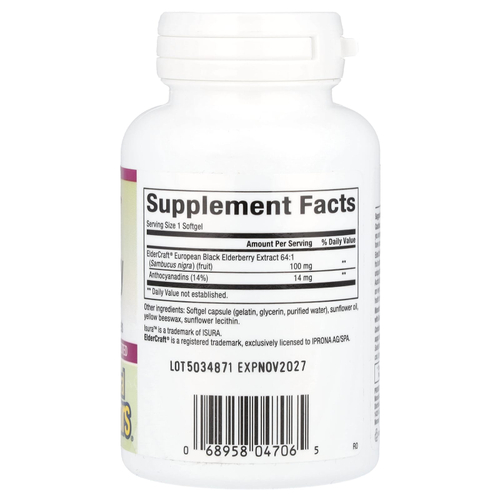 Natural Factors, черная бузина, 100 мг, 60 быстродействующих капсул
