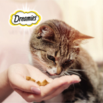 Лакомство Говядина и сыр, 60г для кошек Dreamies Микс