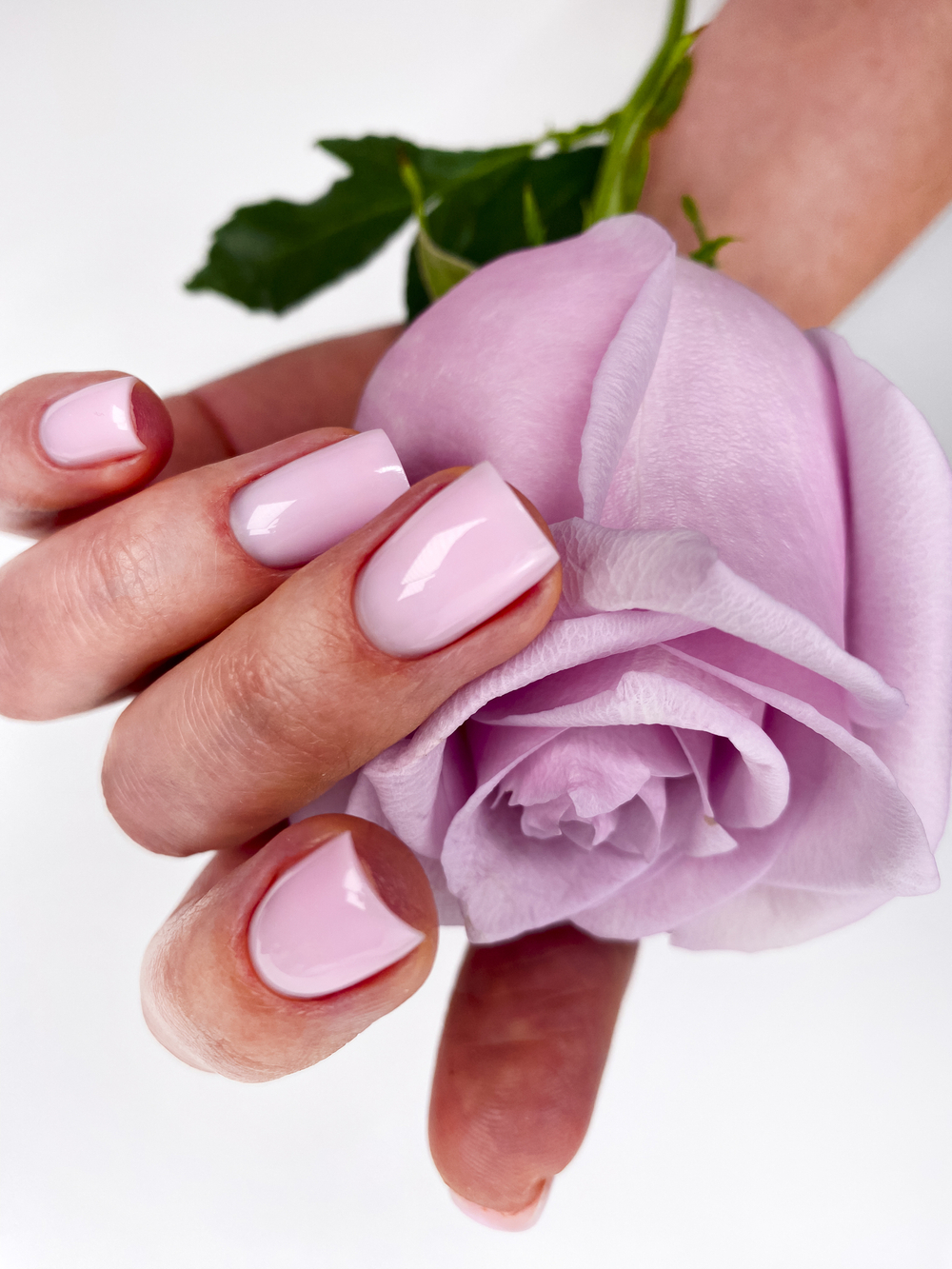Creative Pink_2