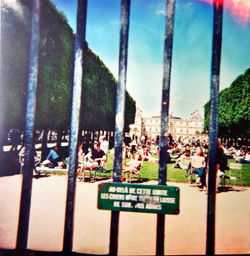 Tame Impala — Lonerism (LP)