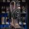 Final Audio D8000 DC Black