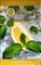 BUTA FUSION (БУТА ФЬЮЖИН) Ice Lemon Mint 50 гр.