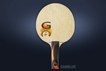 Основание GAMBLER GLINE X FAST CARBON STRAIGHT