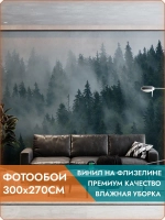 Фотообои на стену Туманный лес 300x270см