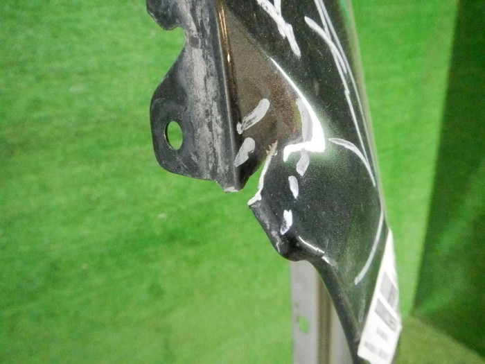 DSCN9917.JPG