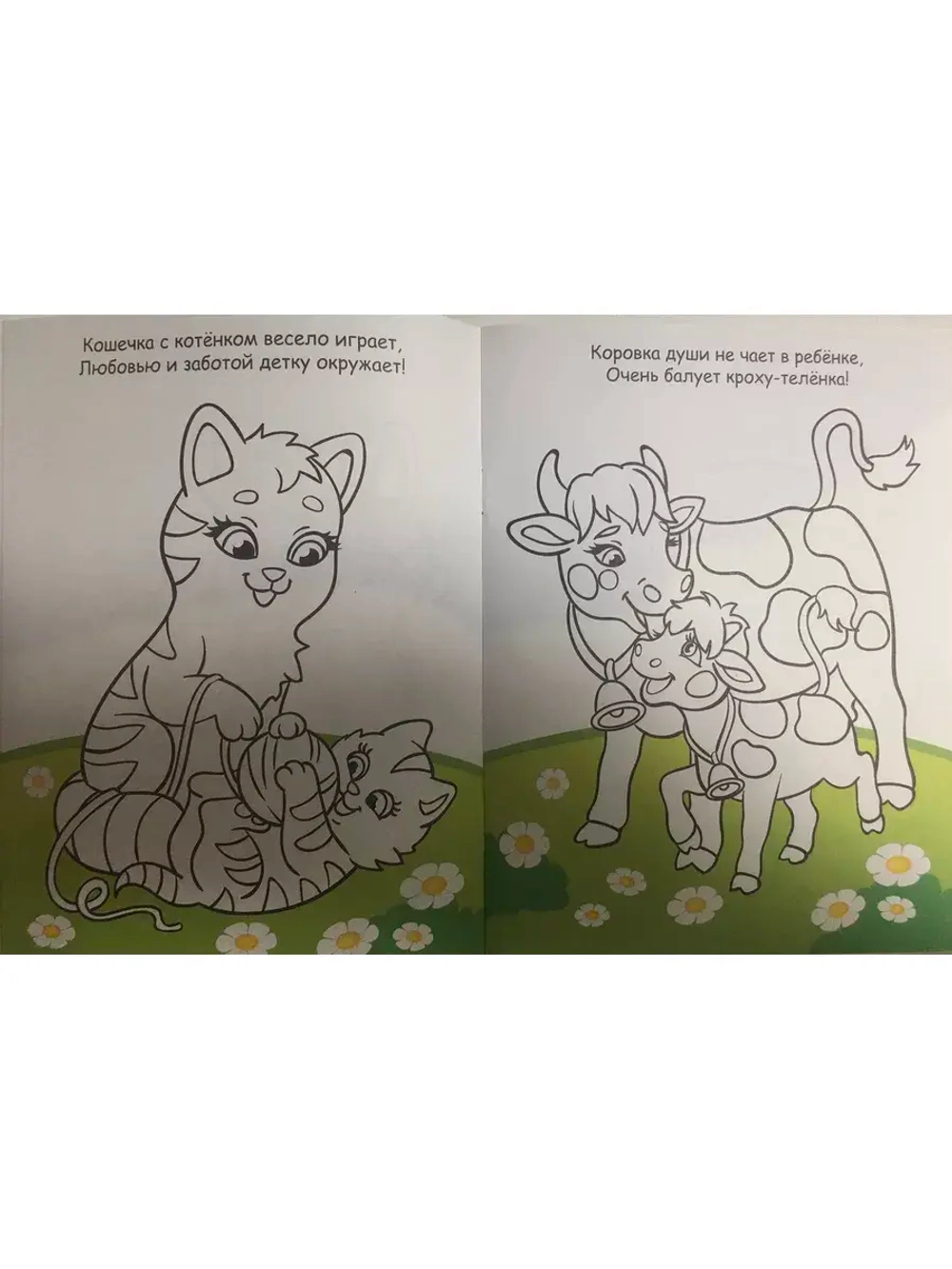 Раскраска для детей