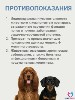 Фениквантел 20мг антигельминтный препарат для собак до 8 кг, 5 таб.