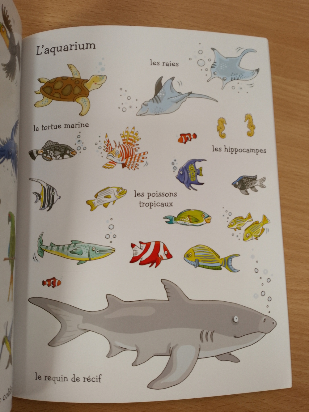 Le zoo - Autocollants Usborne