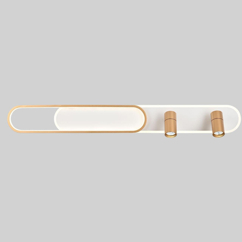 Настенно-потолочный светодиодный светильник Favourite Planar 4075-2C