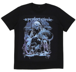 Футболка A Perfect Circle