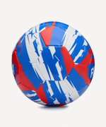 Мяч футбольный Flagball Russia №5