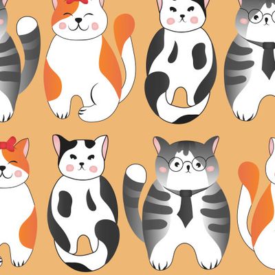 Коты на оранжевом