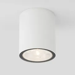 Потолочный светильник уличный Light LED 35131/H белый Elektrostandard