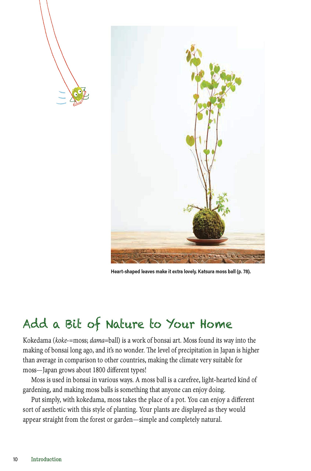 Moss Ball Bonsai: 100 Simple Kokedama Gardens That Are Easy and Fun to Make