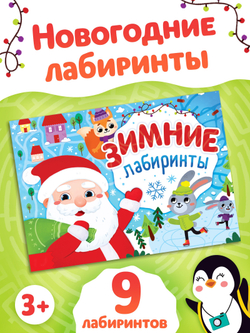 Книга «Зимние лабиринты», арт. 04216
