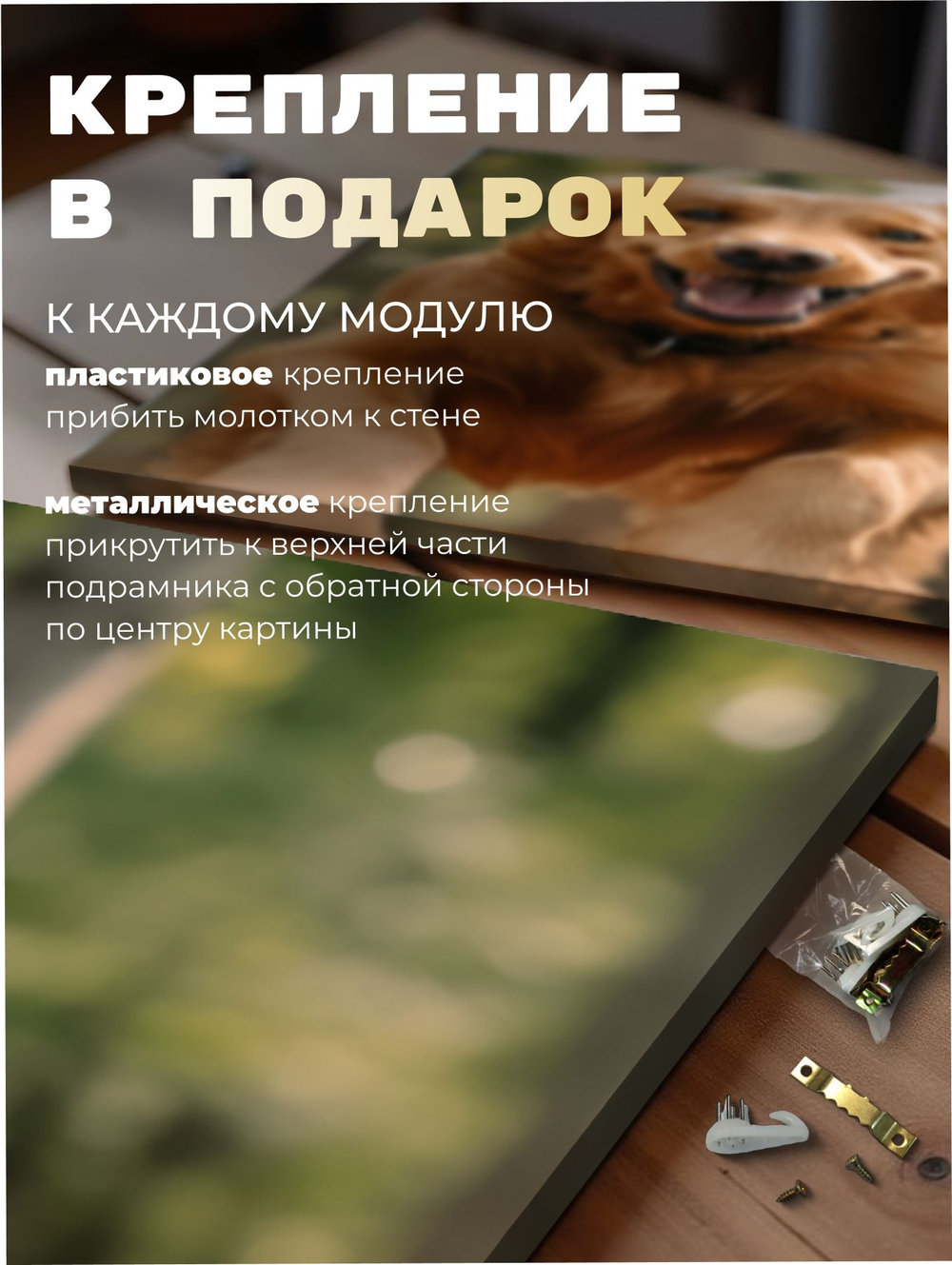 Картина Радость леса модульная 50x70см 3шт., на деревянном подрамнике
