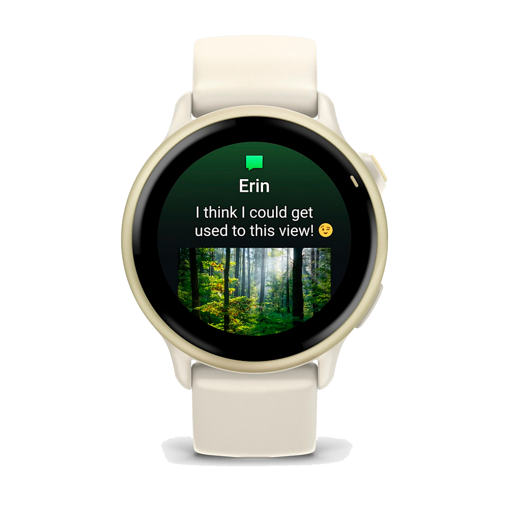 Умные часы Garmin Vivoactive 6, Lunar Gold with Bone Band (010-02985-41)